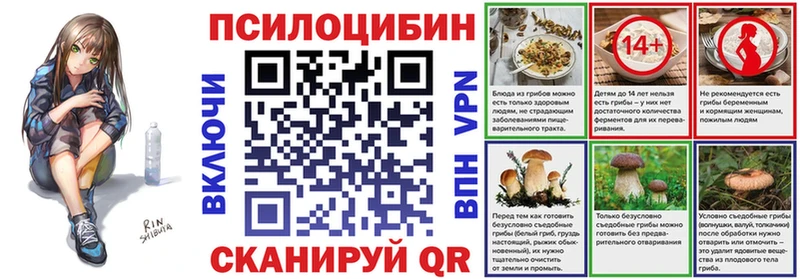 даркнет как зайти  Сортавала  Псилоцибиновые грибы Cubensis 